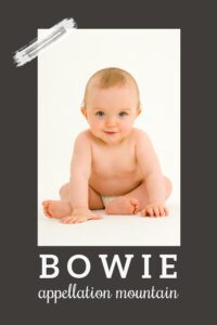 baby name Bowie