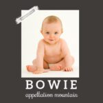 Baby Name Bowie: On-Trend and Iconic