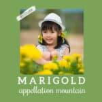 Baby Name Marigold: Bold Botanical