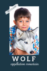 baby name Wolf
