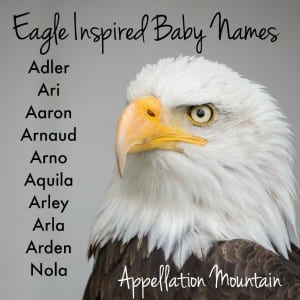 Eagle Inspired Baby Names