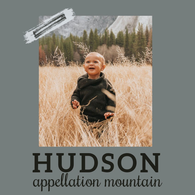 What Does the Name Hudson Mean  