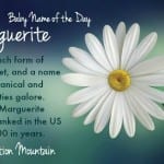 Marguerite: Baby Name of the Day