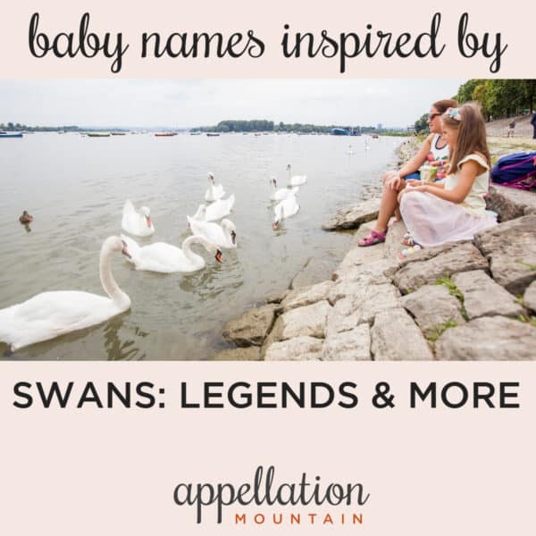 names that mean swan
