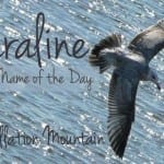 Laraline: Baby Name of the Day