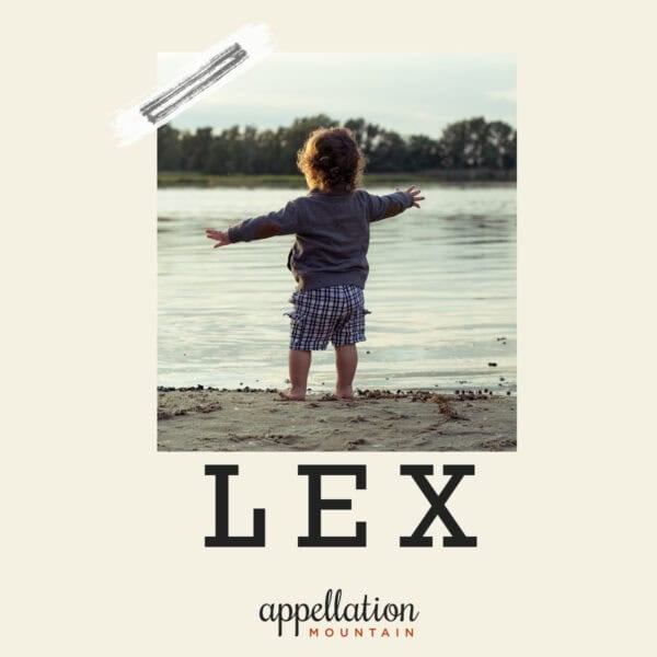 toddler wearing shorts and a long sleeved top arms spread wide facing edge of a lake; baby name Lex