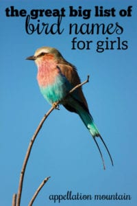 bird names for girls