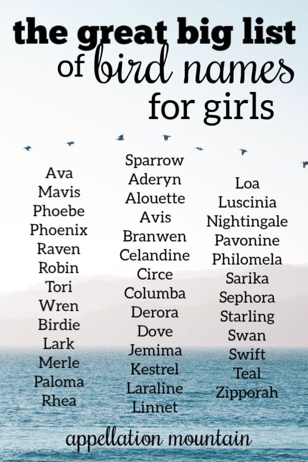 The Great Big List of Bird Names for Girls - Appellation Mountain