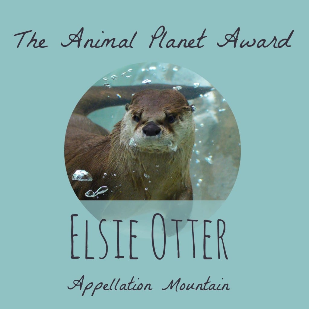 Celebrity Baby Names 2015: Elsie Otter