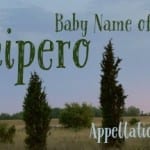 Junipero: Baby Name of the Day