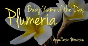 Plumeria: Baby Name of the Day