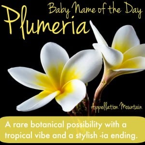 Plumeria: Baby Name of the Day