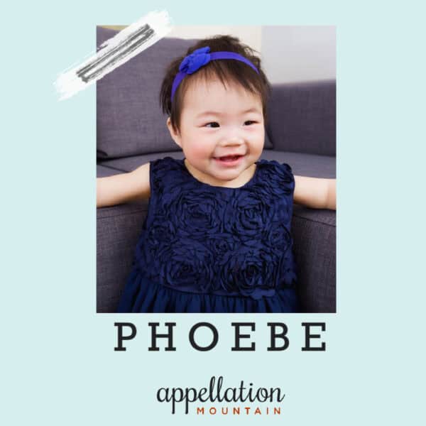 baby name phoebe