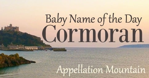 Cormoran: Baby Name of the Day