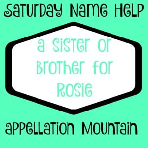 Name Help: A Sister or Brother for Rosie