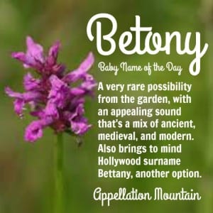 Betony: Baby Name of the Day