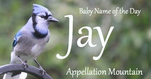 Jay: Baby Name of the Day