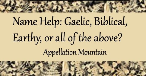 Name Help: Gaelic, Biblical, Earthy or all of the above?