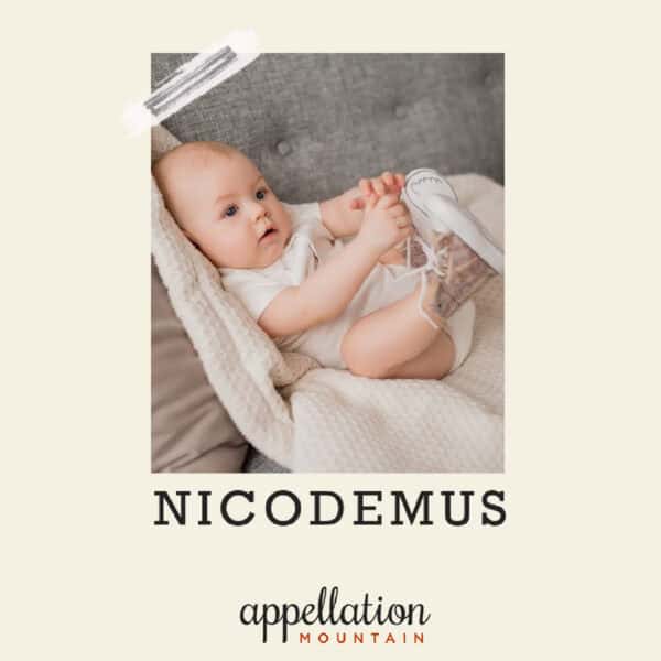 baby boy wearing white shirt and beige high top sneakers; baby name Nicodemus