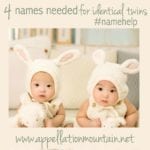 Name Help: Identical Twins – Four Names Needed!
