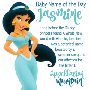 Jasmine: Baby Name of the Day
