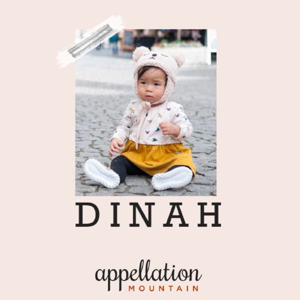 girl baby sitting on cobblestone street wearing knit bear hat and sweater over yellow dress, text reads "Dinah"