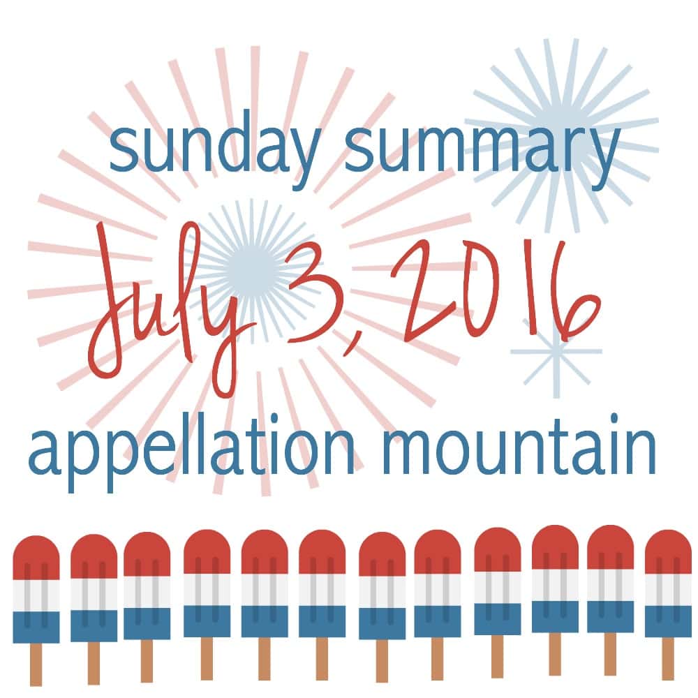 Sunday Summary 7.3.16