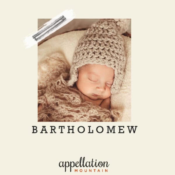 newborn baby in beige knit hat and knit brown blanket "baby name Bartholomew"
