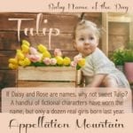 Tulip: Baby Name of the Day