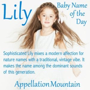 Lily: Baby Name of the Day