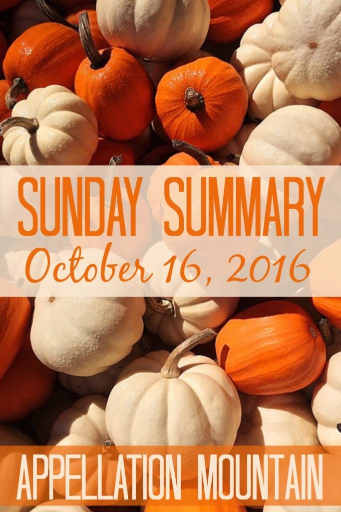 Sunday Summary 10.16.16