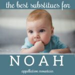 Names Like Noah: Alternatives to the Top Ten Names