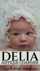 baby name Delia