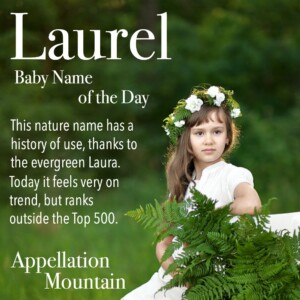 Laurel: Baby Name of the Day