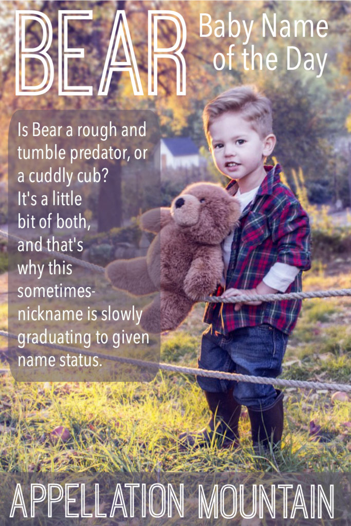 bear-baby-name-of-the-day-appellation-mountain