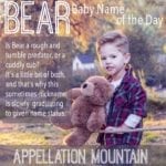 Bear: Baby Name of the Day