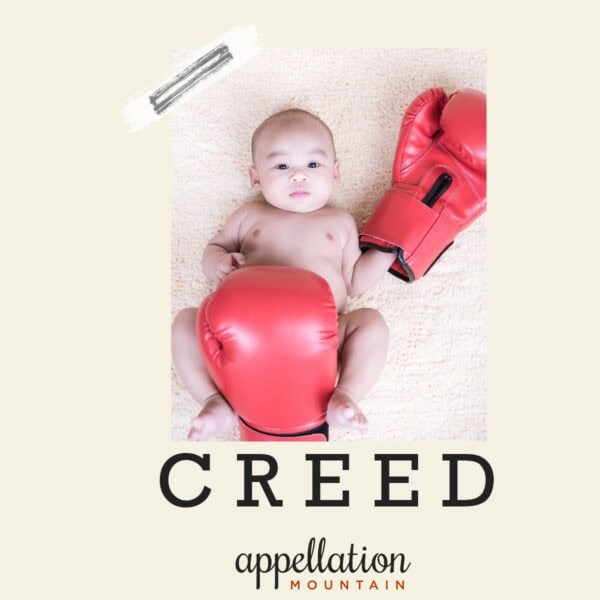 Asian baby boy with full-sized red boxing gloves; text reads "Creed"