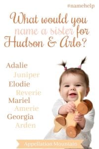 Name Help: A Sister for Hudson and Arlo