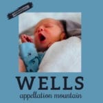 Baby Name Wells: Hopeful Nature Name