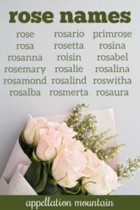Rose names