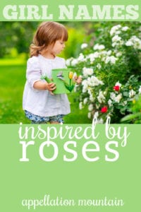 rose names for girls