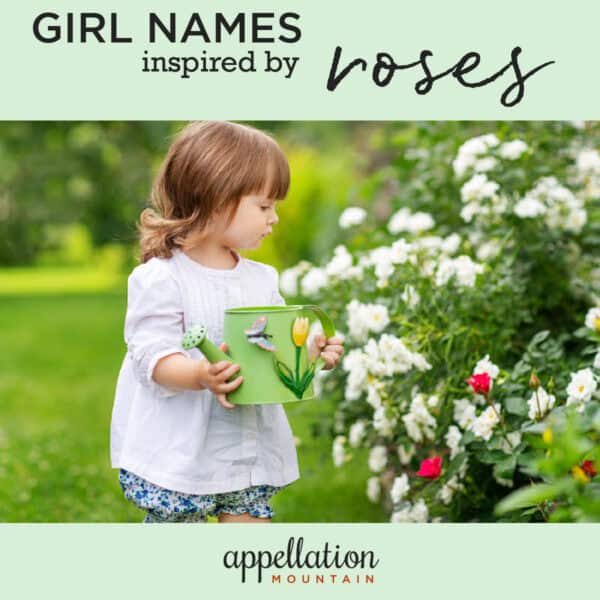 toddler girl with light brown hair wearing a white top holding a green watering can in front of a flowering shrub of roses; "Rose Names"