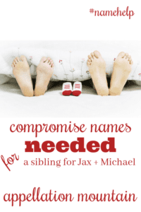 Name Help: A Sibling for Jax and Michael