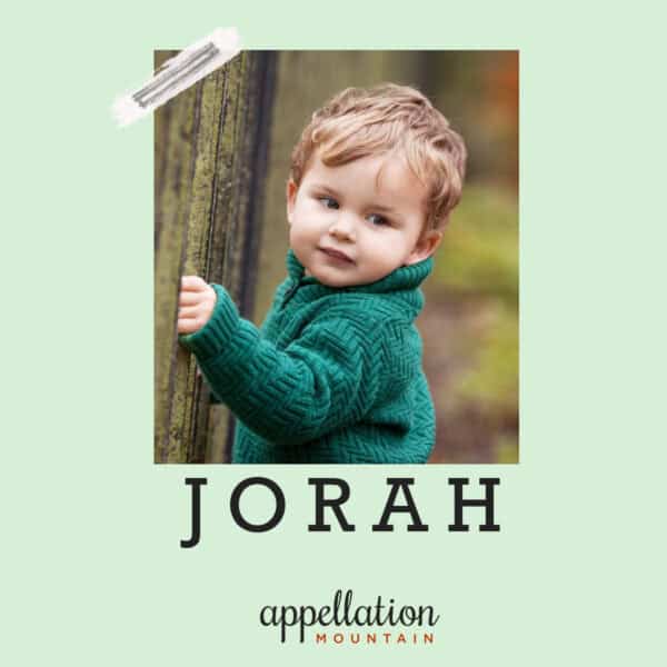 blonde toddler boy wearing bright green sweater hugging tree; baby name Jorah