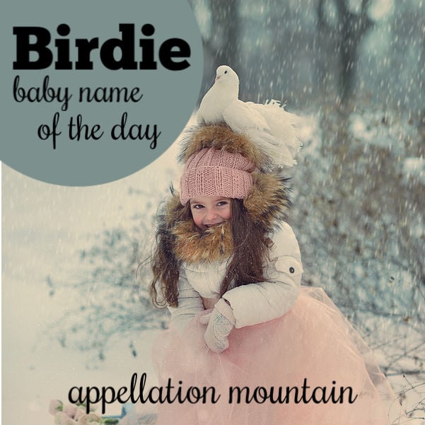 Birde: Baby Name of the Day