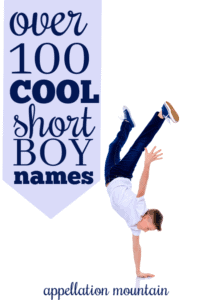 Short Cool Guy Names