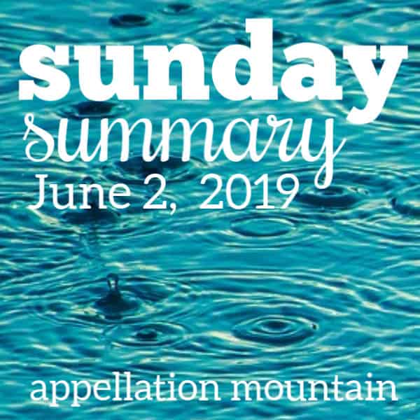 Sunday Summary: 6.2.19