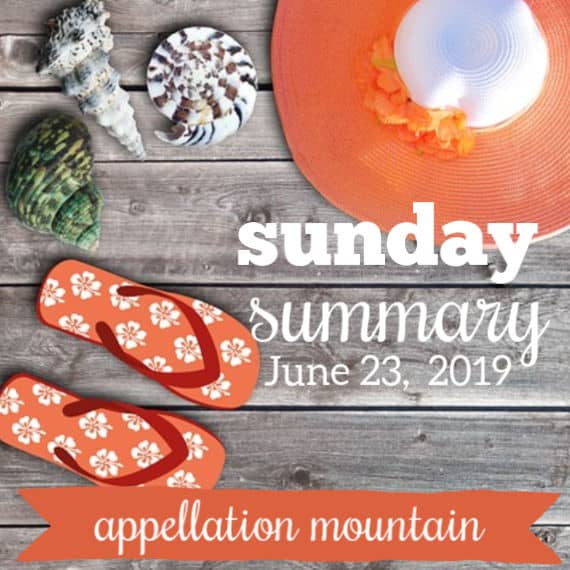 Sunday Summary: 6.23.19