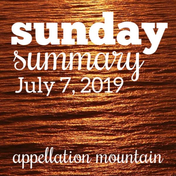 Sunday Summary: 7.7.19