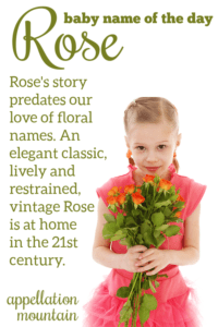 Rose: Baby Name of the Day